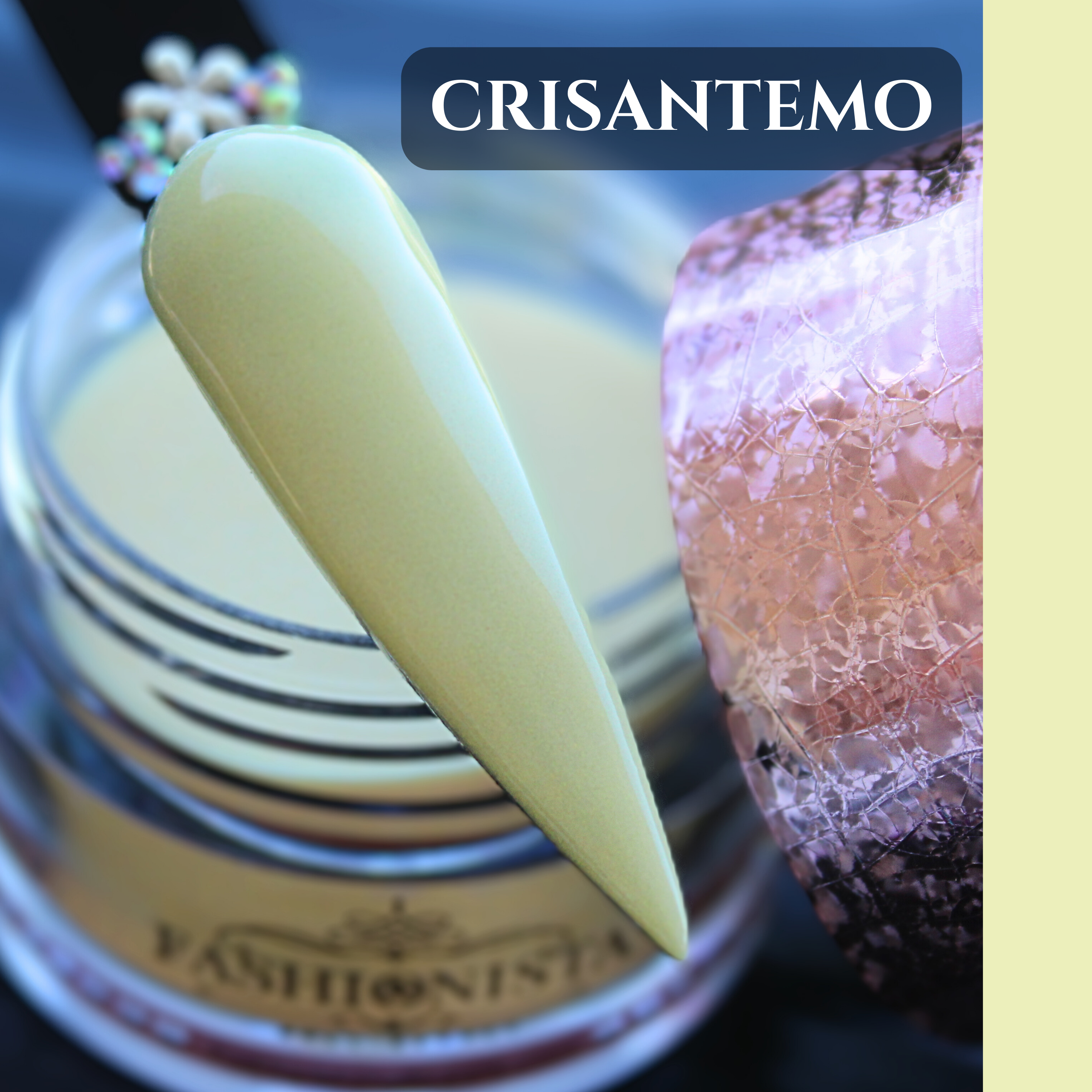 CRISANTEMO - S025